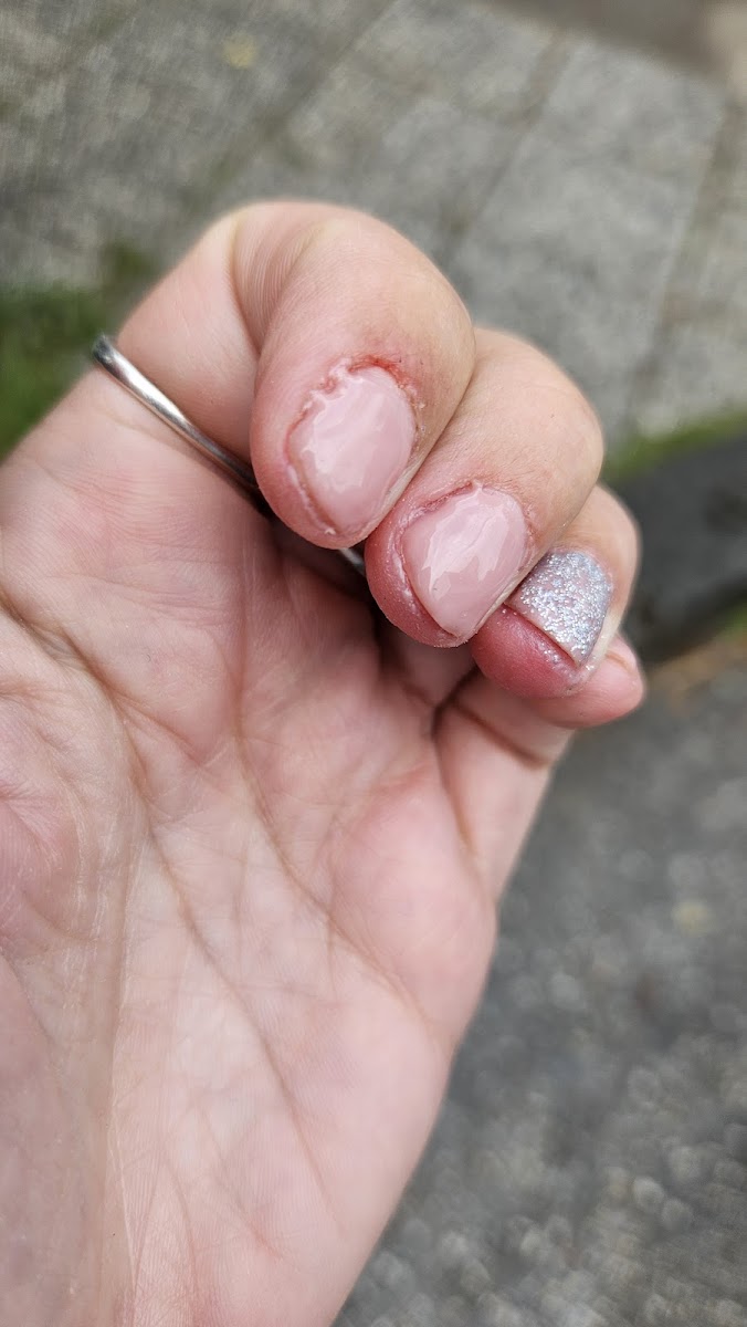 Kozmetički salon ADA - foto 3