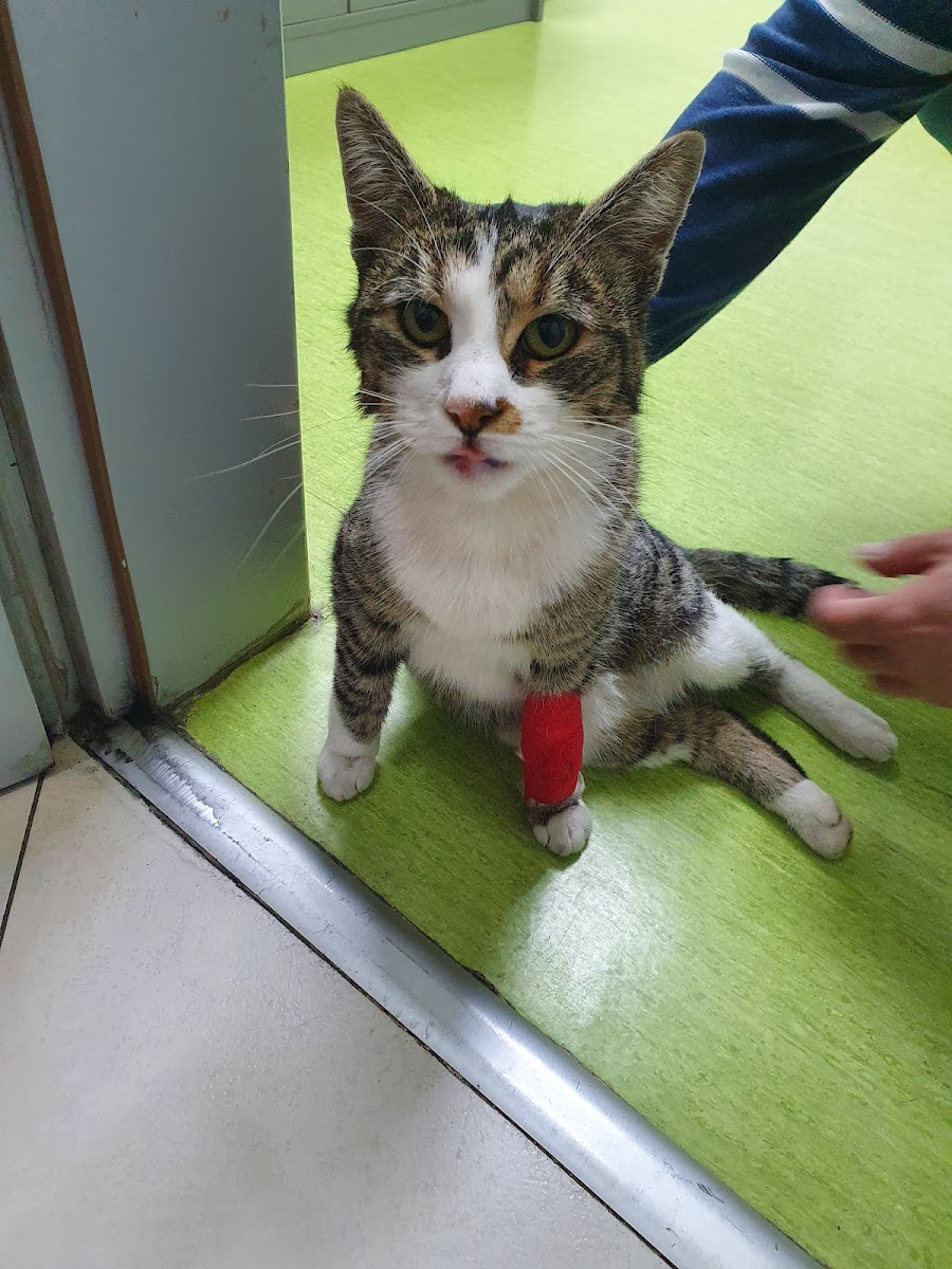 Veterinarska stanica Mr. Pet doo - foto 3