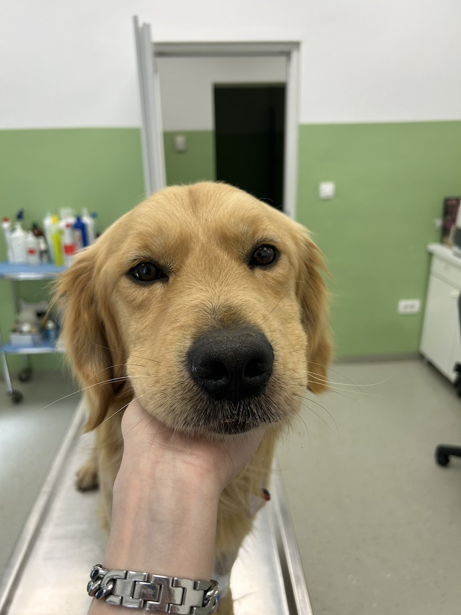 Veterinarska stanica Sarajevo - foto 2