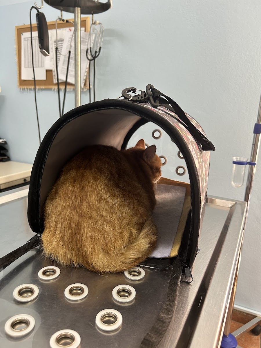 Veterinarska ambulanta Vetanova - foto 2