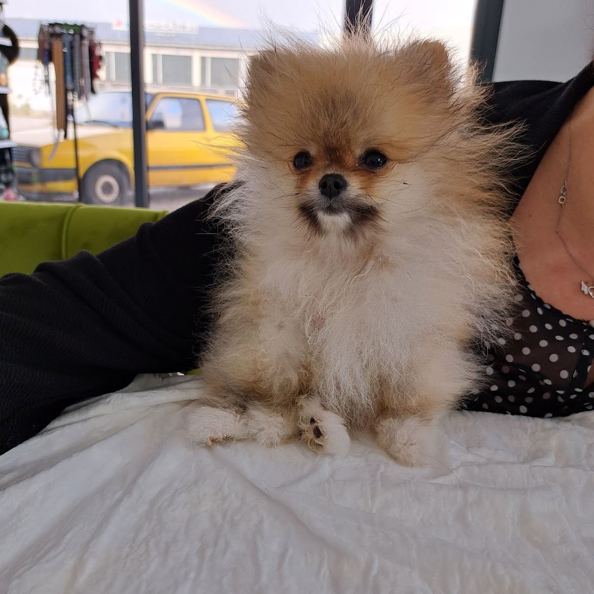 Veterinarska ambulanta MG - foto 3