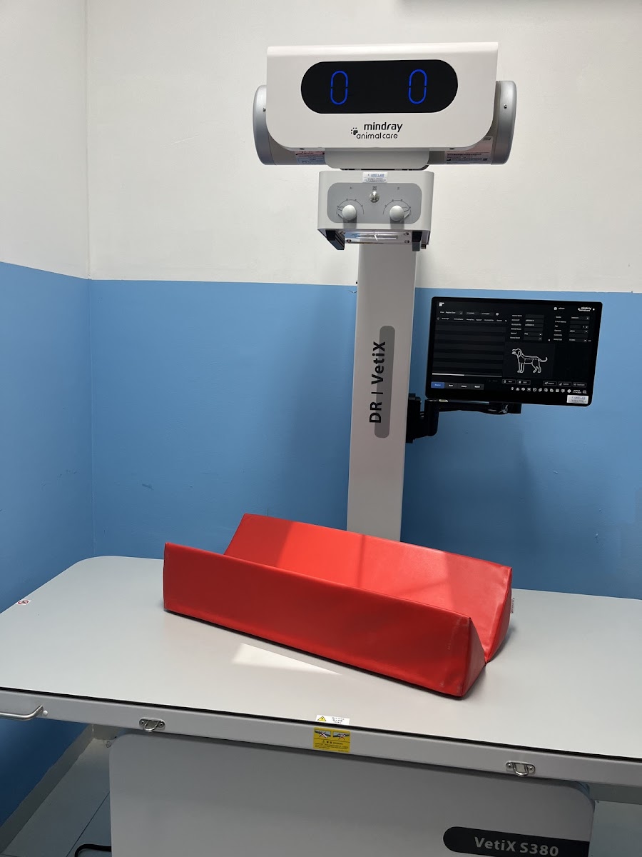 Veterinarska stanica- 4PET