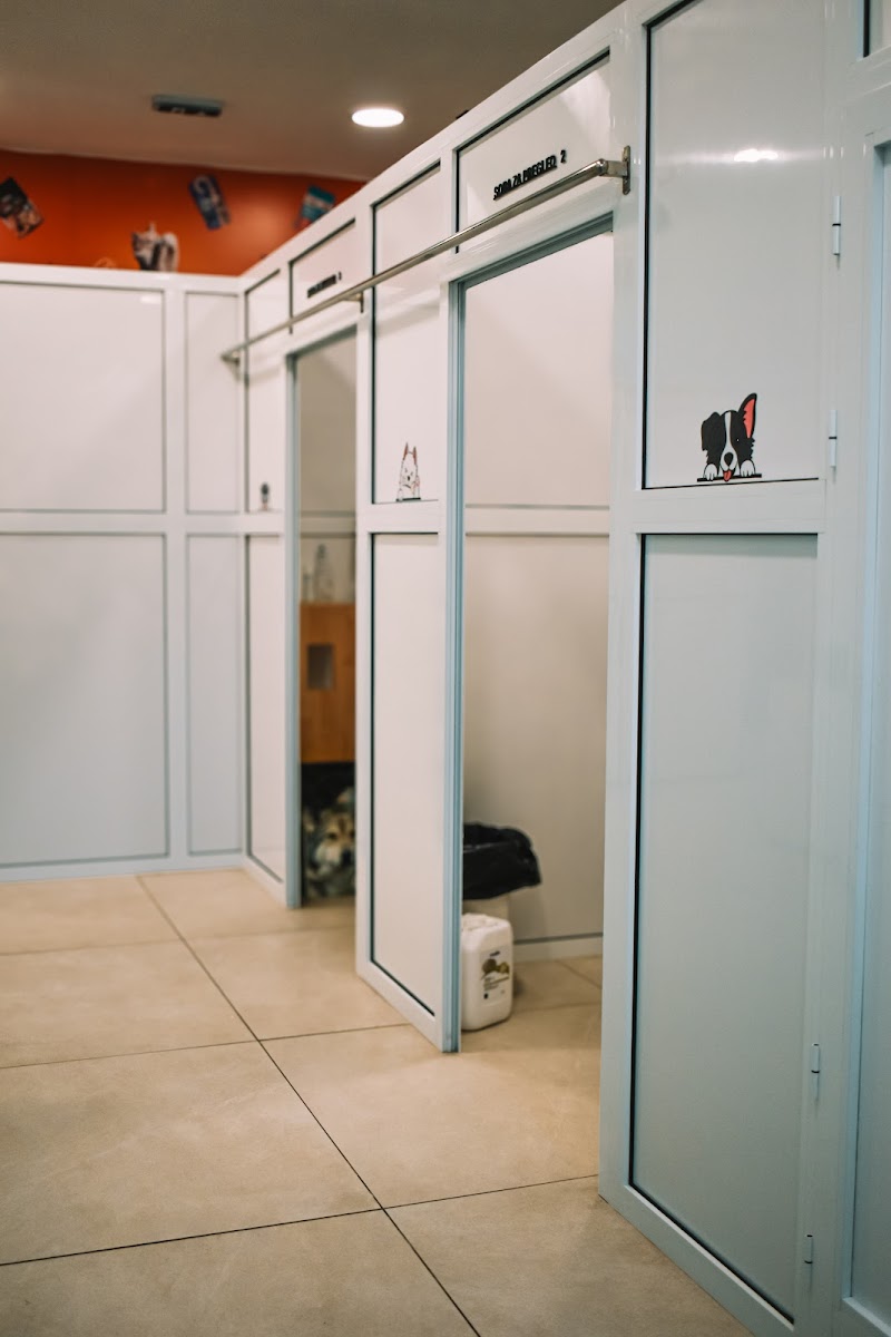 Veterinarska stanica Ketti Sarajevo - foto 2
