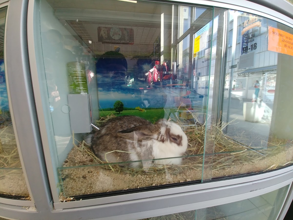 KETTI d.o.o. - SVIJET LJUBIMACA - foto 3