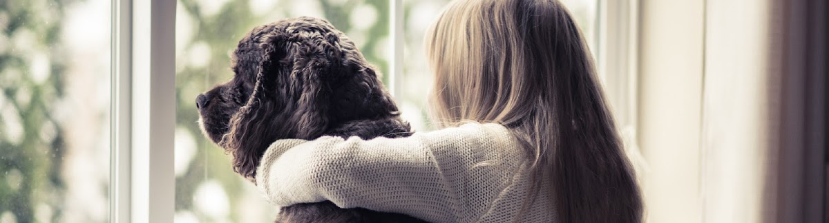 Toby pet shop i veterinarska apoteka - foto 2