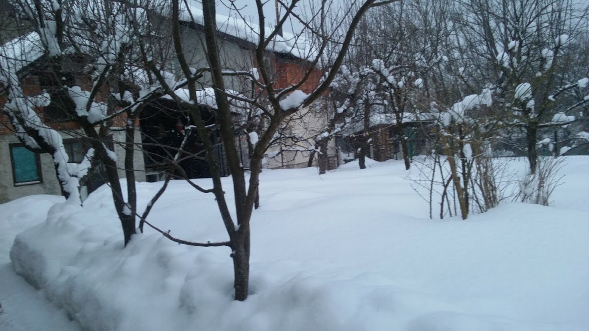 Vakufska Bakšaiška otoka, Bihać