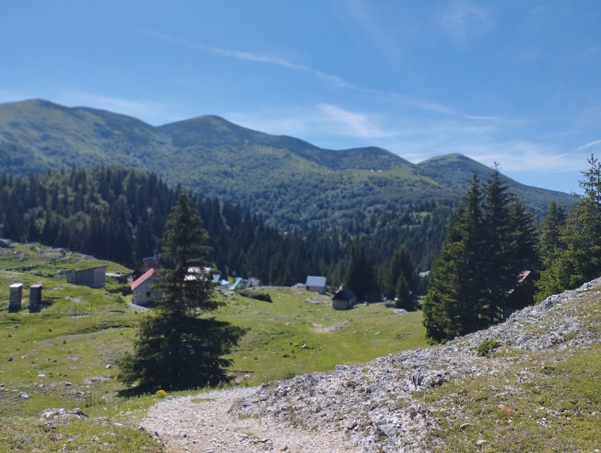 Ekupon - foto 5