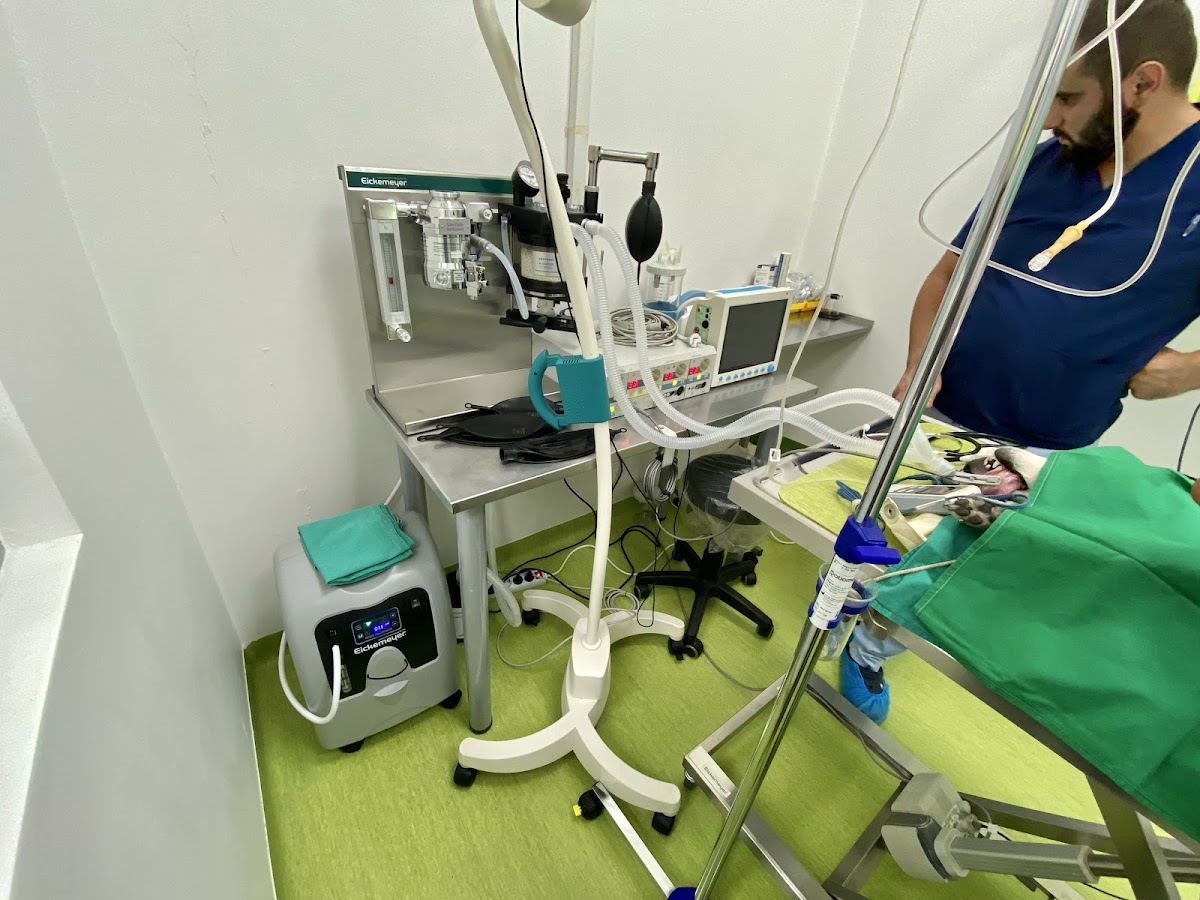 Veterinarska stanica Mr. Pet doo, Sarajevo