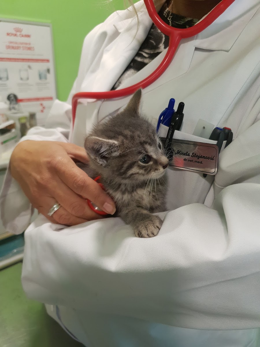 Veterinarska ambulanta “My Vet”, Sarajevo