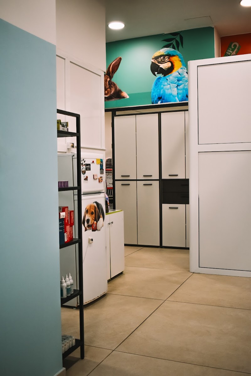 Veterinarska stanica Ketti Sarajevo, Sarajevo