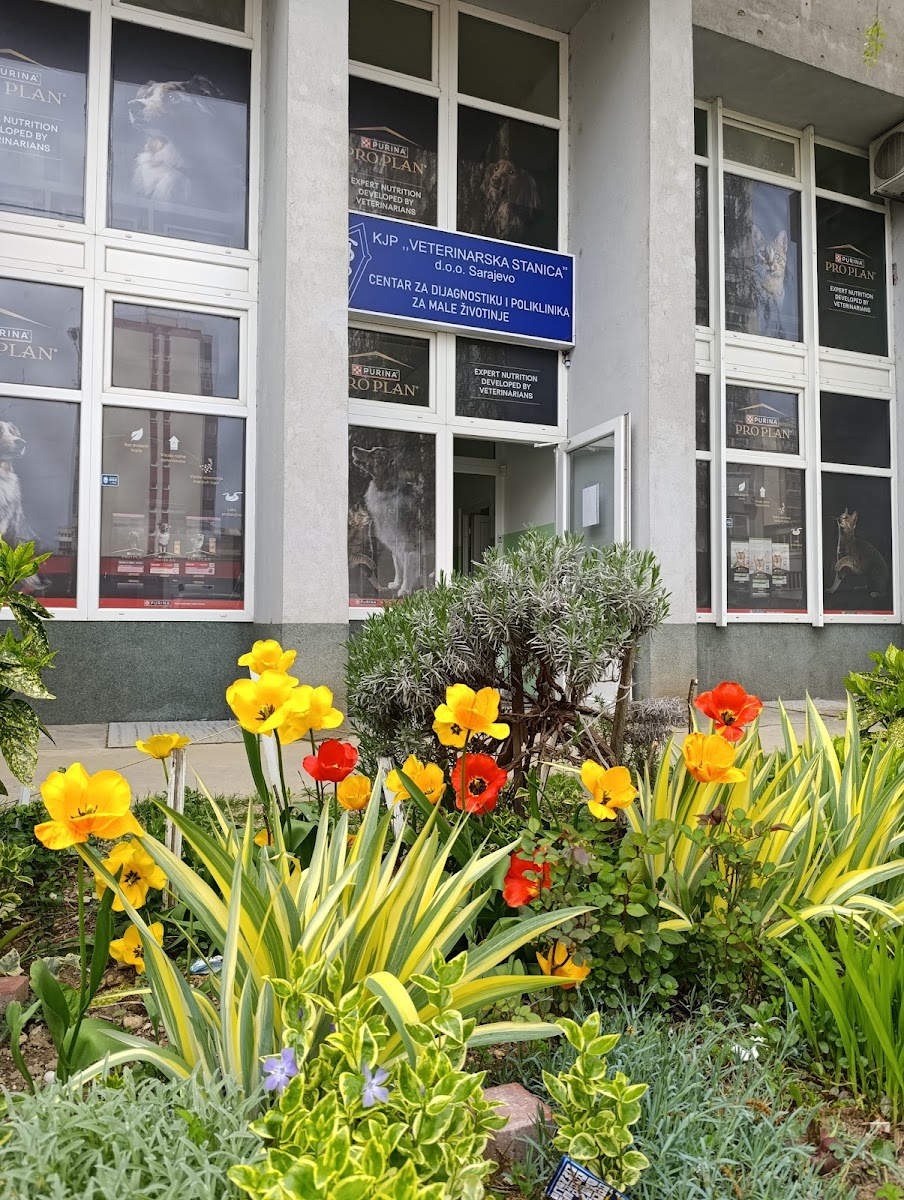 Veterinarska ambulanta"Centar za dijagnostiku i poliklinika za male životinje", Sarajevo