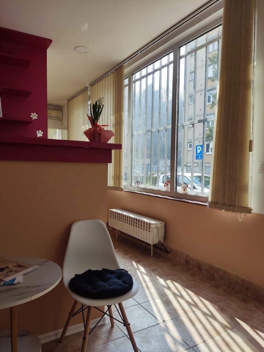 Samostalna veterinarska praksa "Adna Ljubijankić" - foto 3