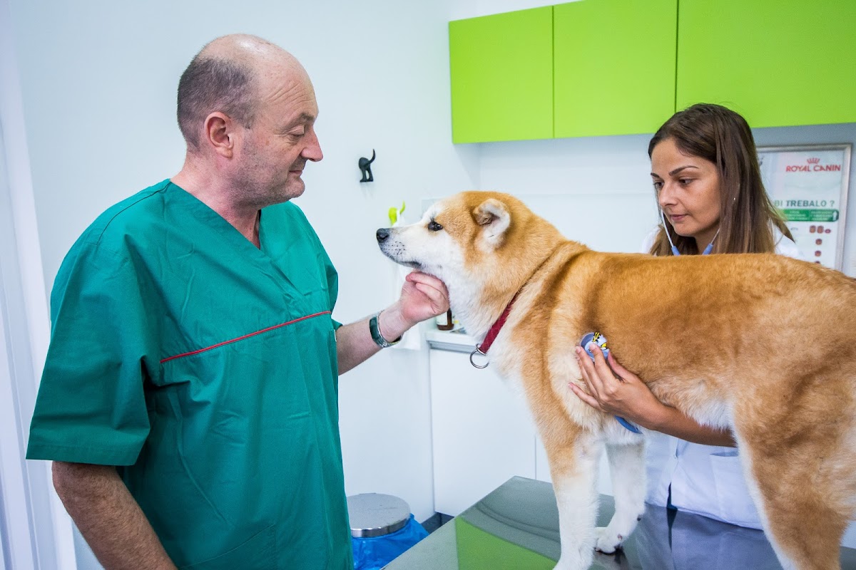 Veterinarska stanica Tataragić, Sarajevo