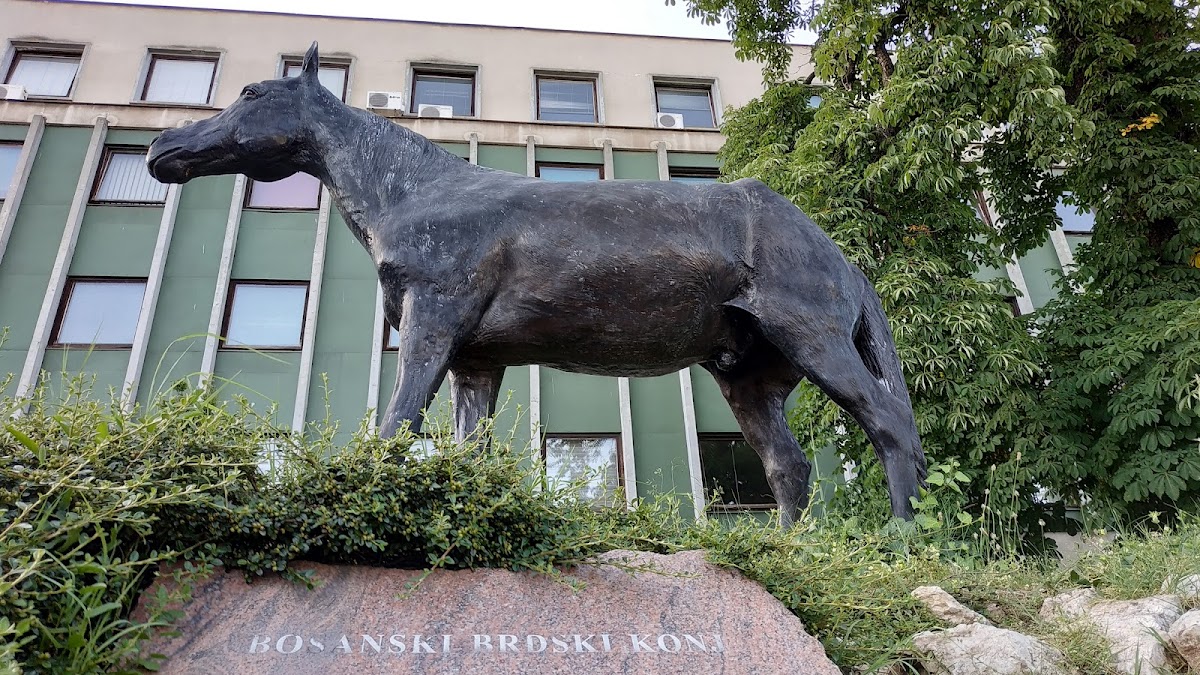 Veterinarski fakultet Univerziteta u Sarajevu - foto 2