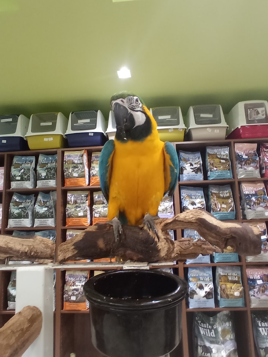 Zoo Centar - foto 2
