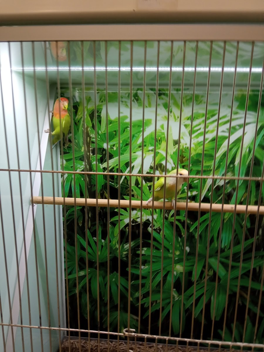 Zoo Centar - foto 3