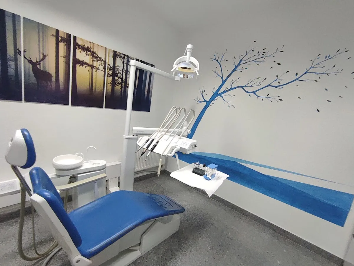 Stomatološka ordinacija M-SMILE dr. Amel Mezetović, Vogošća