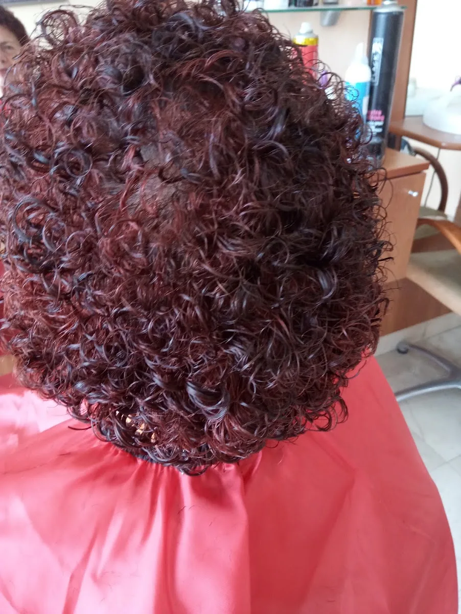 Bolero frizerski salon - foto 3